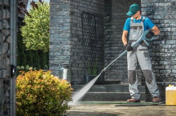 Best Graffiti Removal  in Tampa, FL